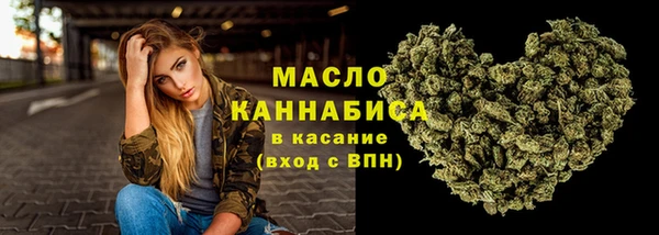 прущая мука Арсеньев