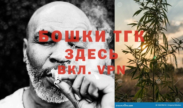 прущая мука Арсеньев