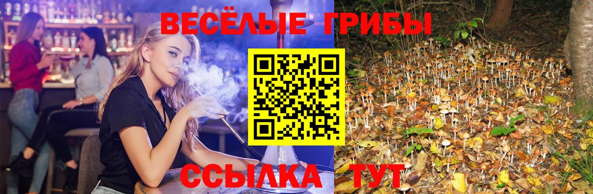 Обнинск  Псилоцибиновые грибы MAGIC MUSHROOMS  Вход с VPN 